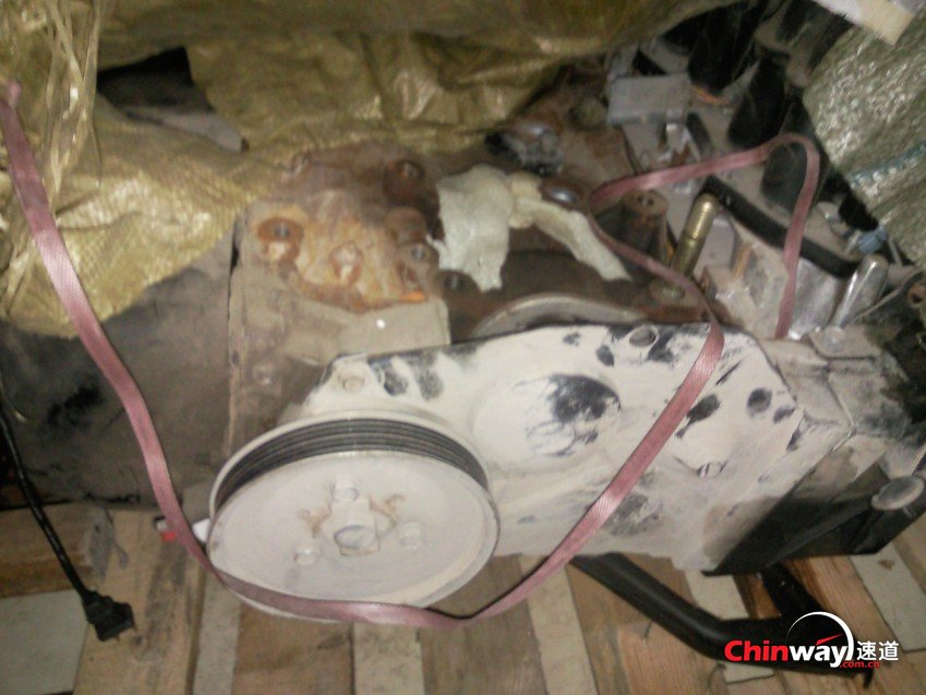 SNC00493_conew1.jpg