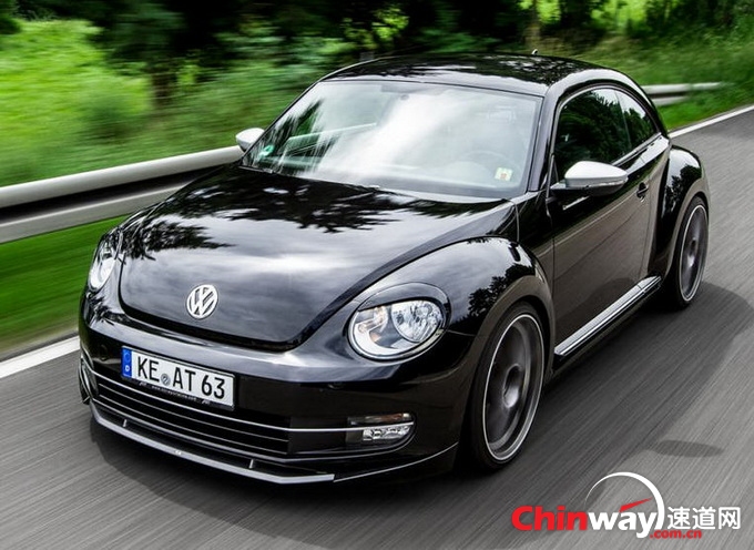 ABT Beetle 5.jpg