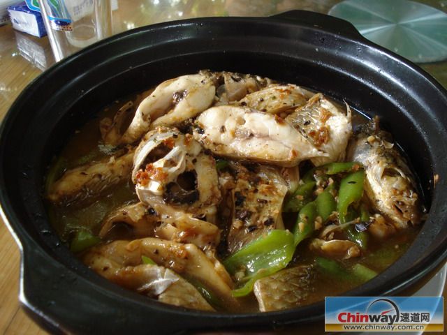 不知道什么鱼.jpg